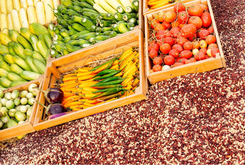 IA4-Food-productos-alimentarios